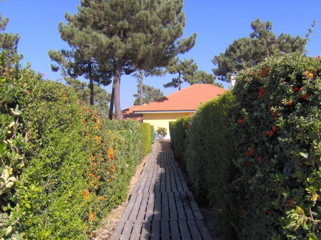 Hotel Aldeamento Turistico Casas Da Comporta Zewnętrze zdjęcie